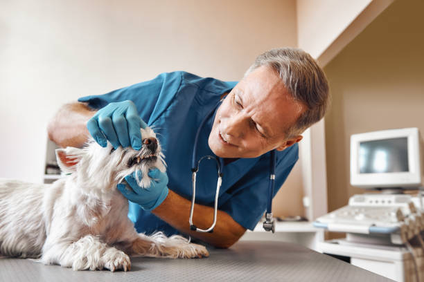 Best Dentist for Tooth Abscess  in Eunice, LA